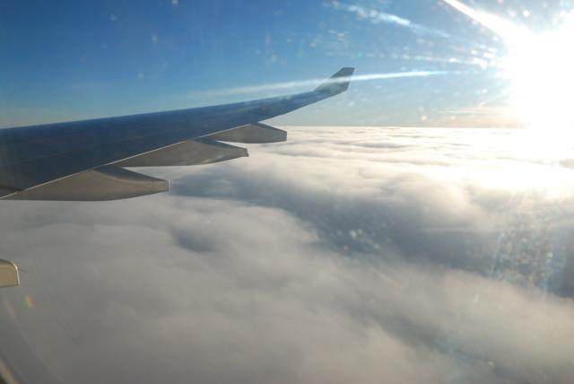 DSC_3640.jpg